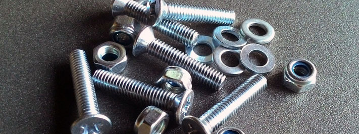 Hastelloy Fasteners